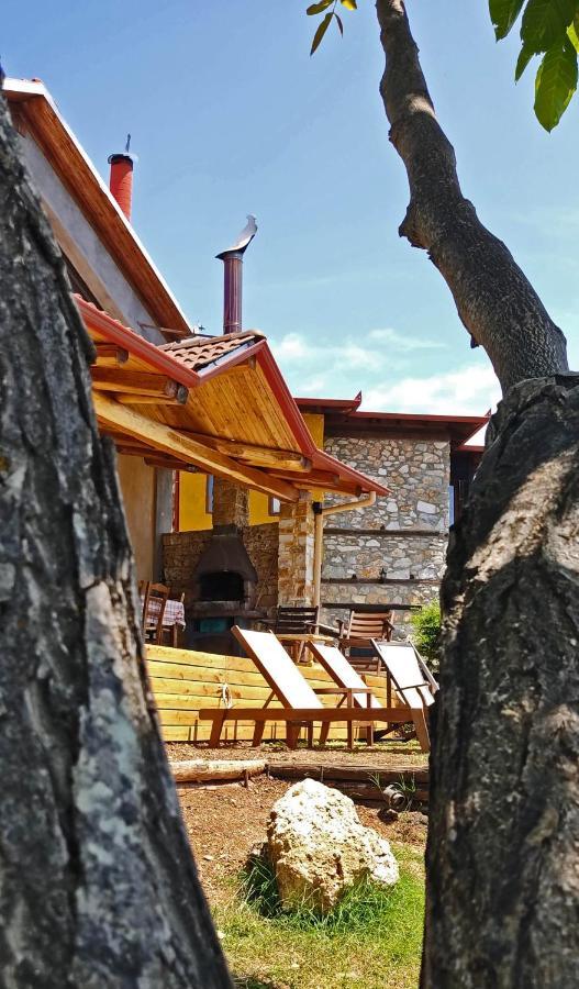 Dimitra'S Villas Elatochórion Exteriér fotografie